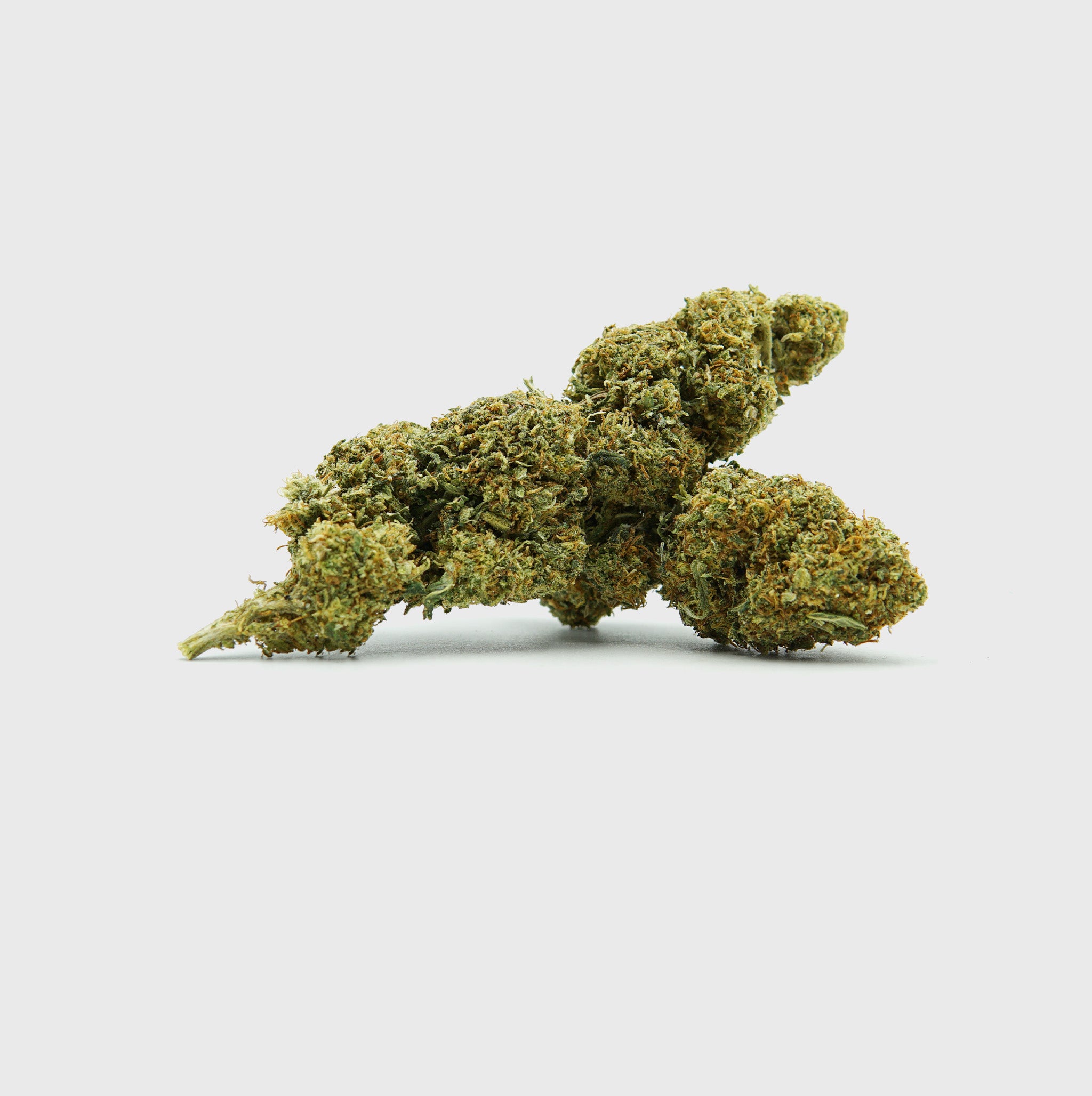 Diesel Dynamite - SATIVA TURBO LVL 5/5