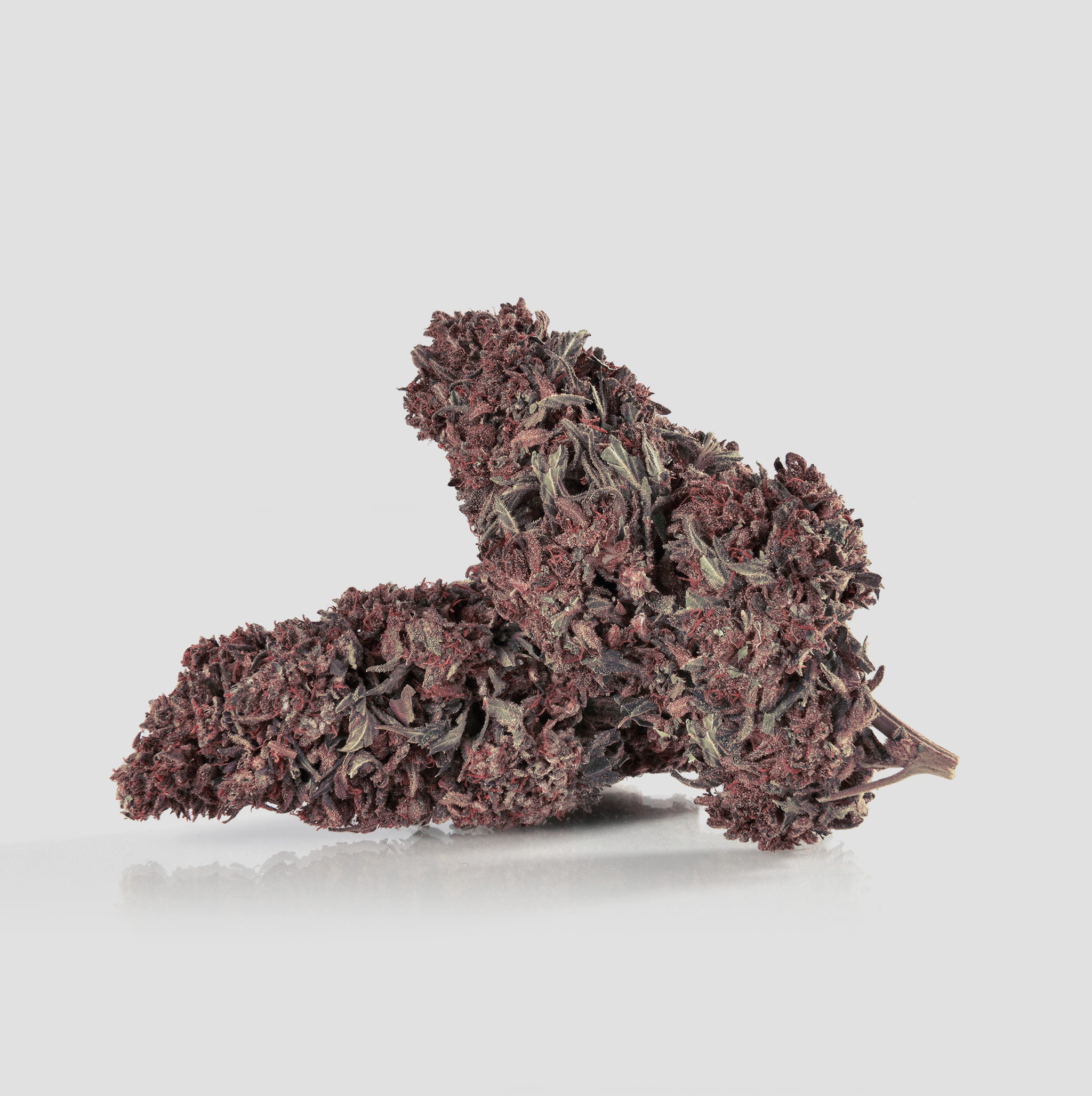 FlowerPower-Blueten-Purple-02_jpg - Flower Power