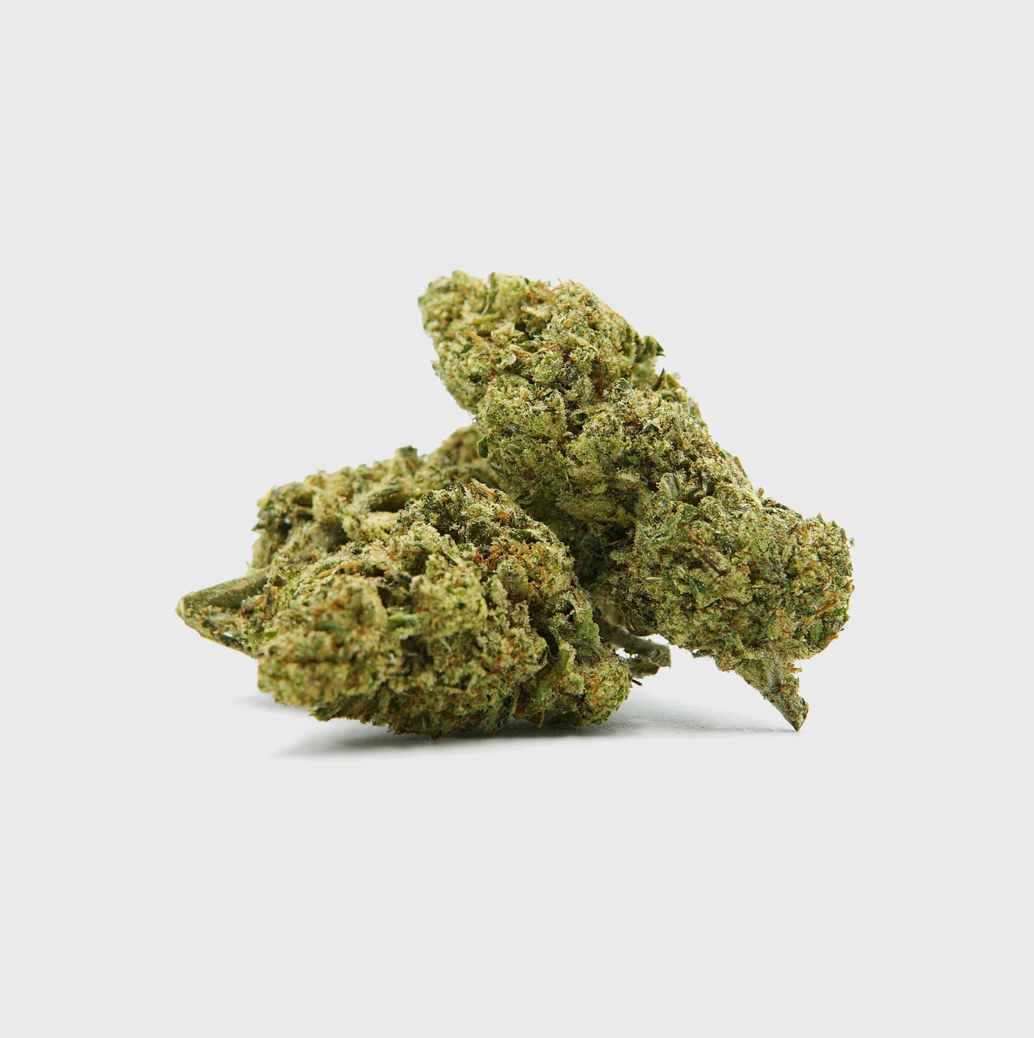 Natürliche Cannabisblüten, hochwertig und nachhaltig angebaut, ideal für Premium-Produkte