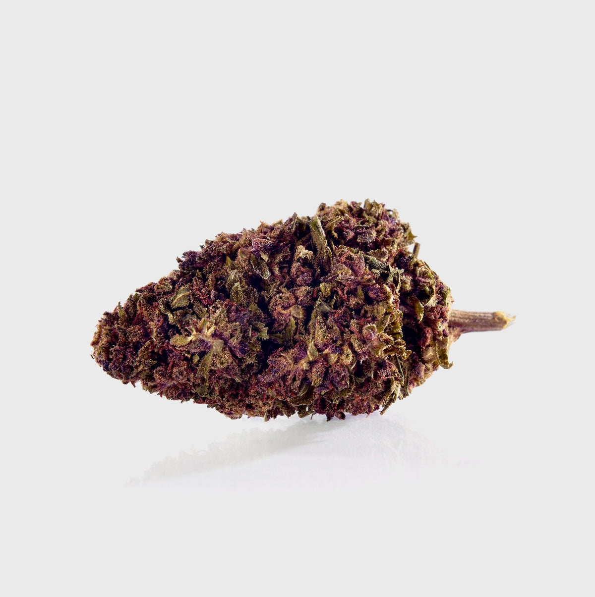 Premium natürliche Cannabisblüte mit reichem Aroma und hoher Qualität
