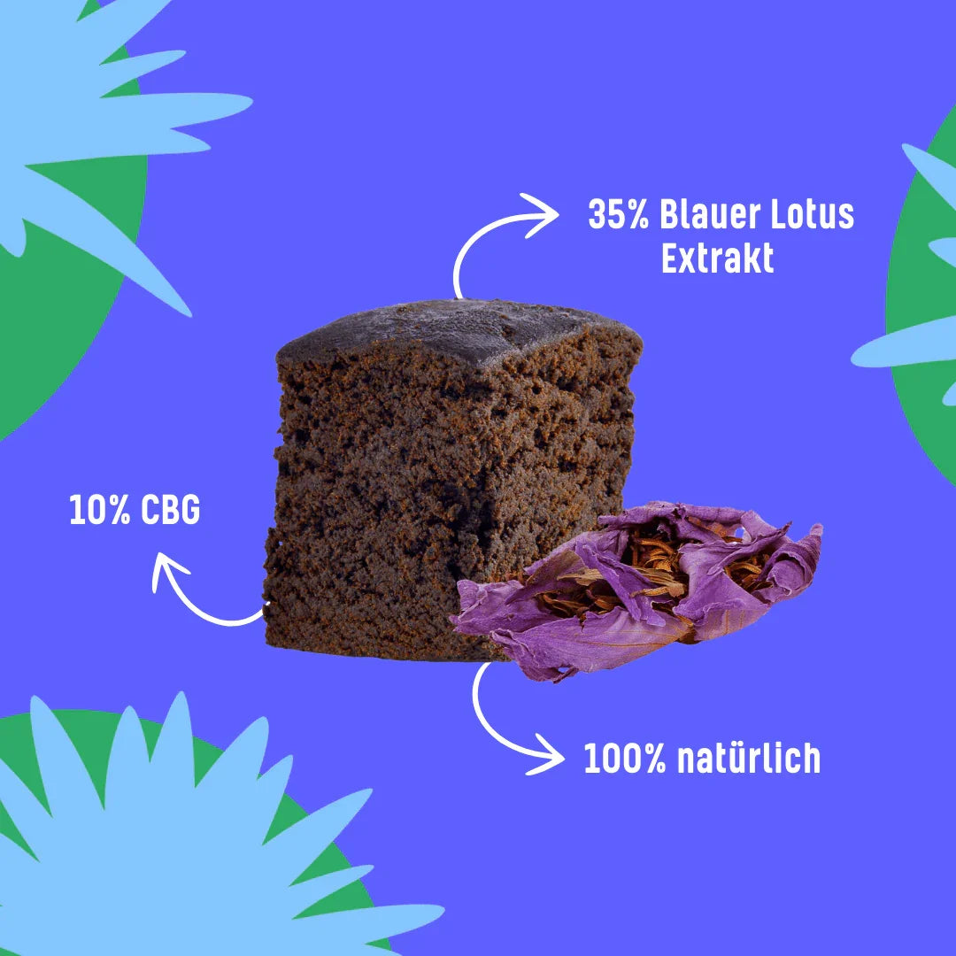 Schokoladenkuchen mit 10% CBG und 35% Blauer Lotus Extrakt, 100% natürlich