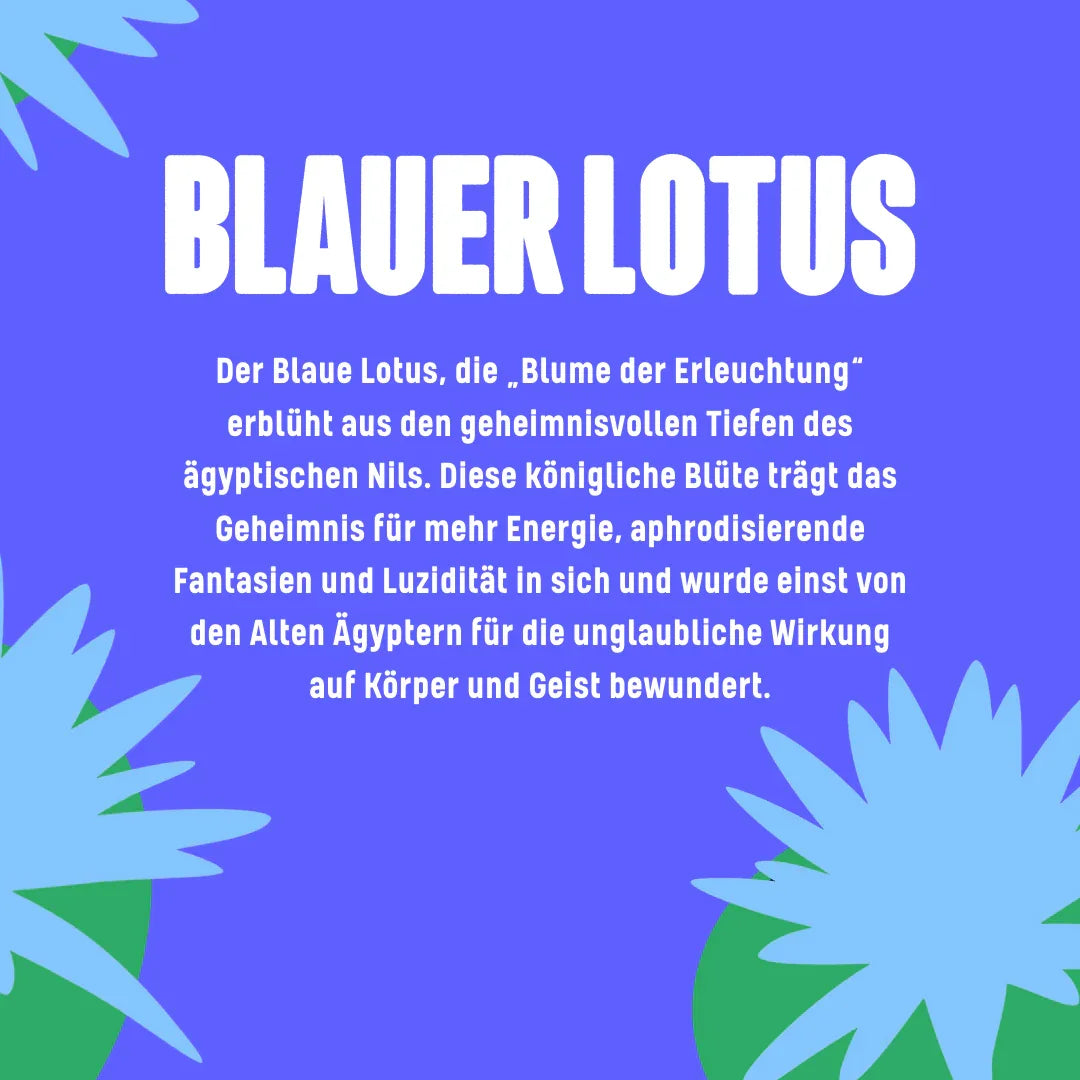 Blauer Lotus: Blume der Erleuchtung mit mystischem Charme und natürlicher Energie