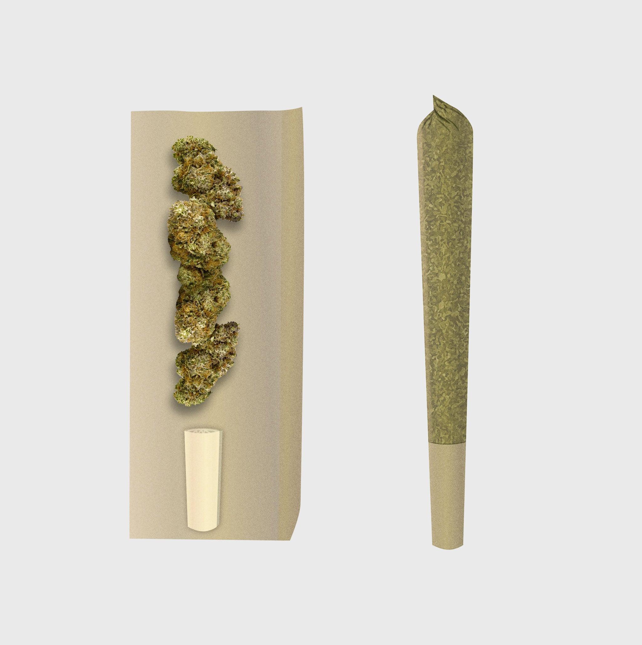 Natürliche Cannabisblüten und handgerollte Joint auf neutralem Hintergrund