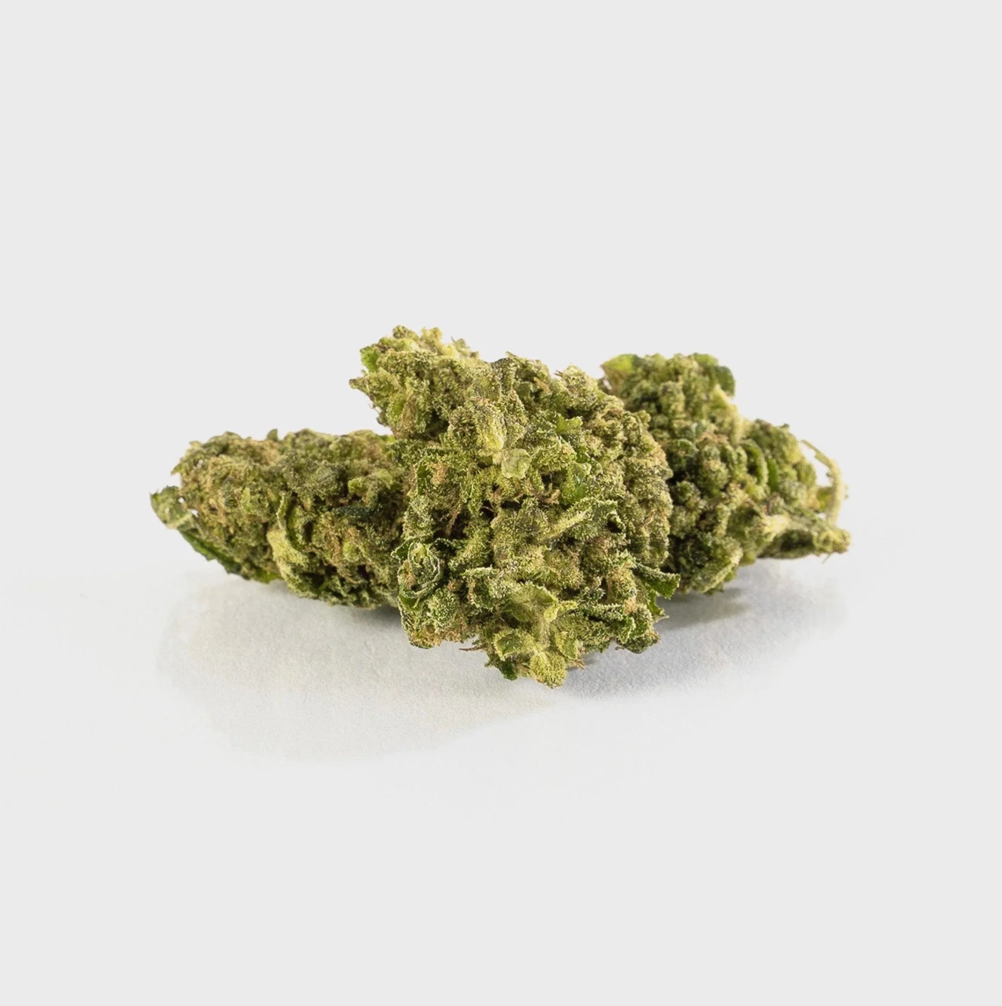 Natürliche Cannabisblüte, hochwertig und nachhaltig, ideal für Premium-Produkte