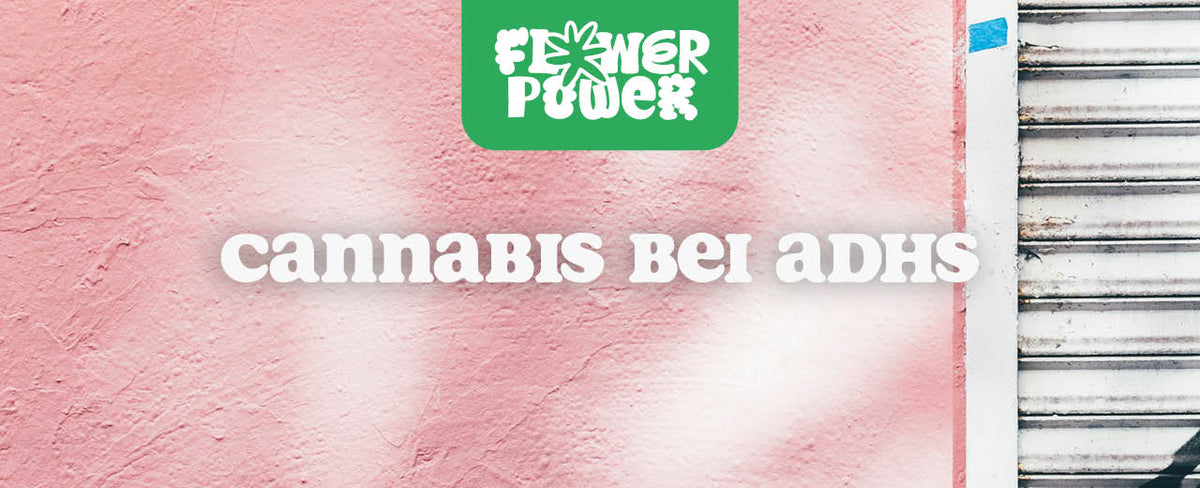 Cannabis Kostenübernahme