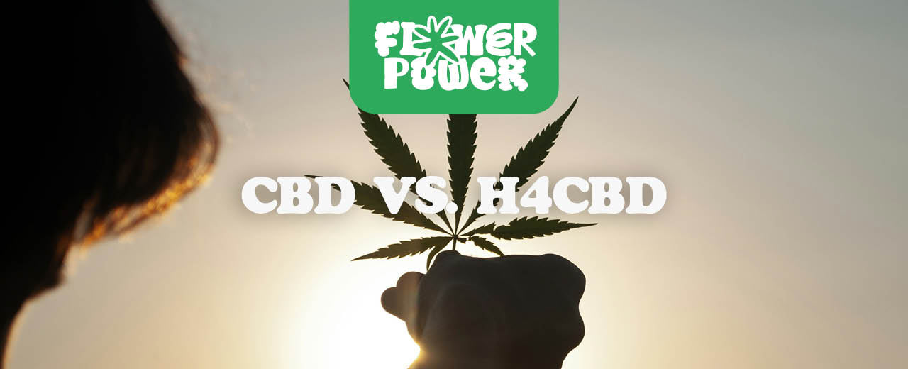 elfbar elfa master akku 🔥 High Puffs H4 – Jetzt bestellen ! 🔥 Definitiv die stärksten &  beliebtesten auf dem Markt mega Geschmack, starke Wirkung, extrem hohe  Nachfrage. Wer einmal probiert, bleibt dabei! 🚀 Alle Sorten main image 0