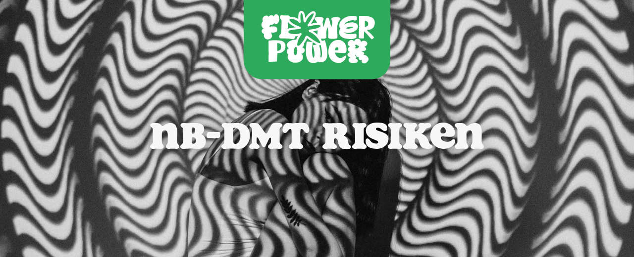 NB-DMT