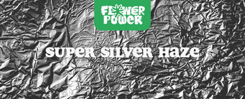 Super Silver Haze
