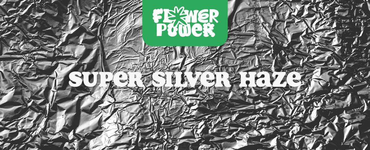 Super Silver Haze