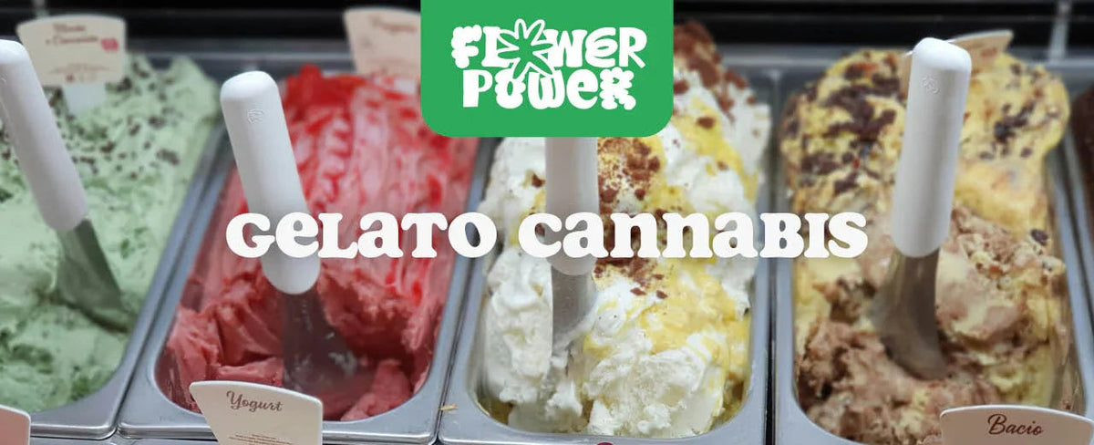 Gelato