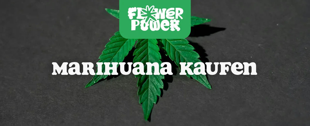Marihuana kaufen