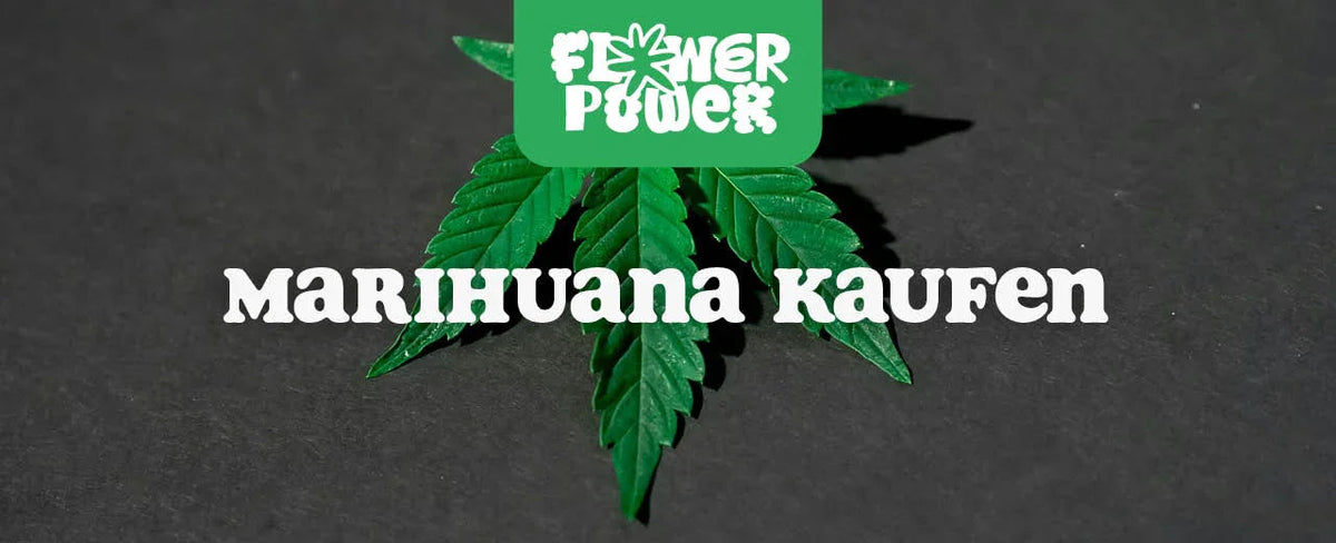 Marihuana kaufen