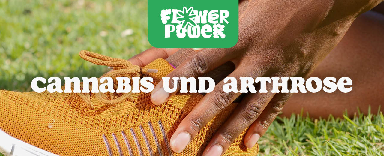 Cannabis
