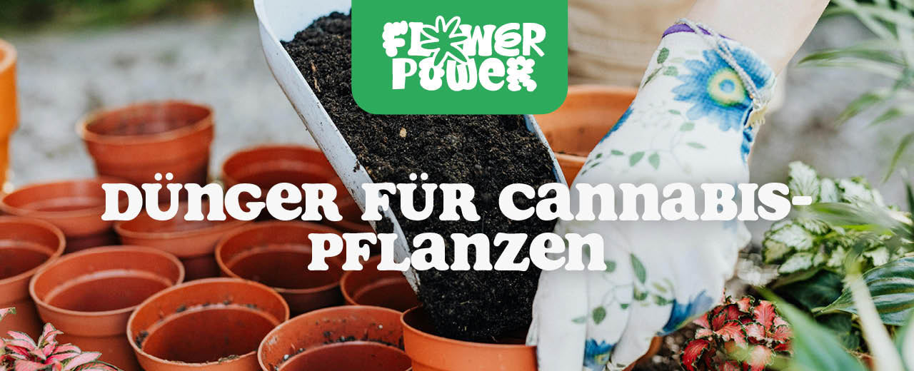 dünger rasen unkraut Rasendünger mit Unkrautvernichter 5 kg – Purgrün