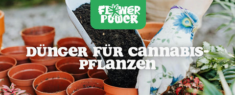 Dnger fr Cannabispflanzen  Alles fr fette, gesunde Buds | Flower Power