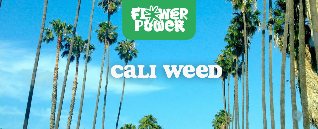 Cali Weed – Premium-Cannabis aus Kalifornien mit legendären Strains