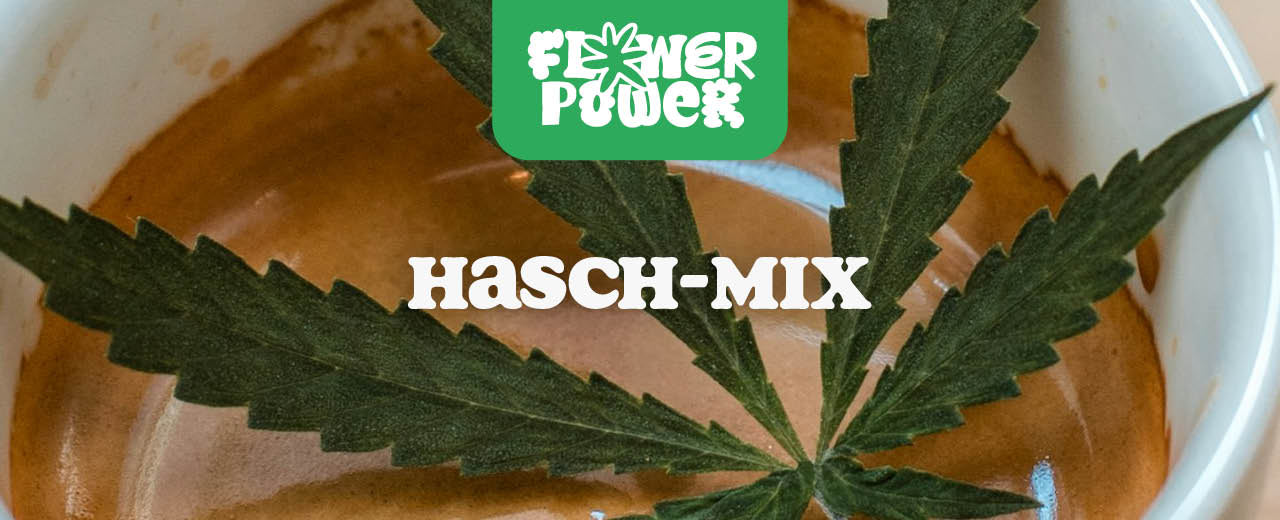 Hasch