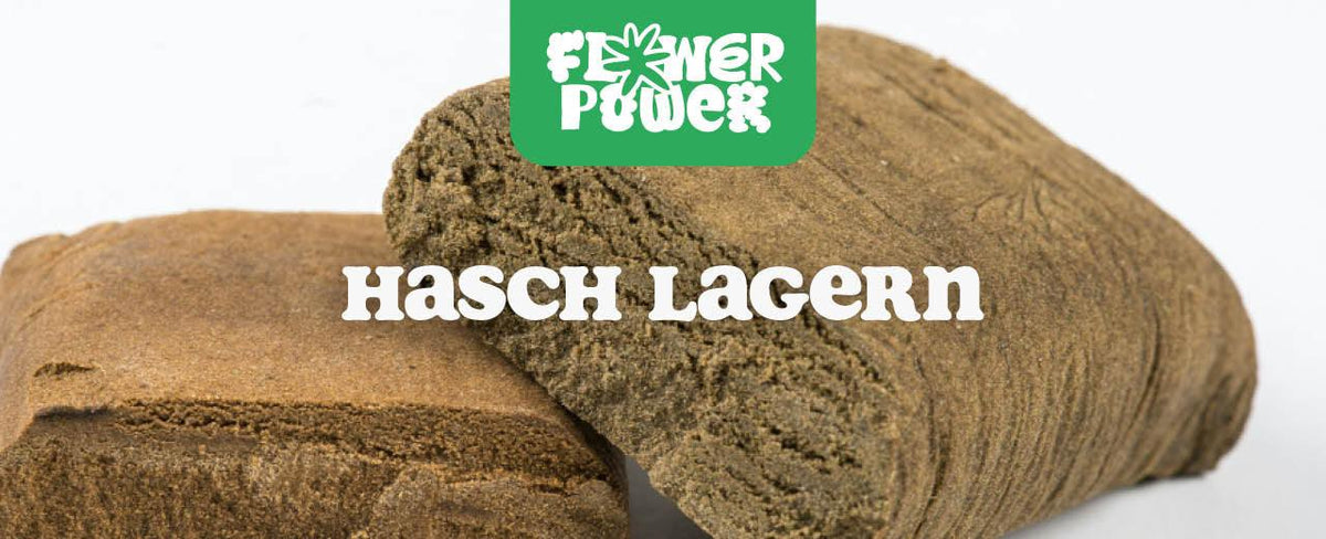 Hasch