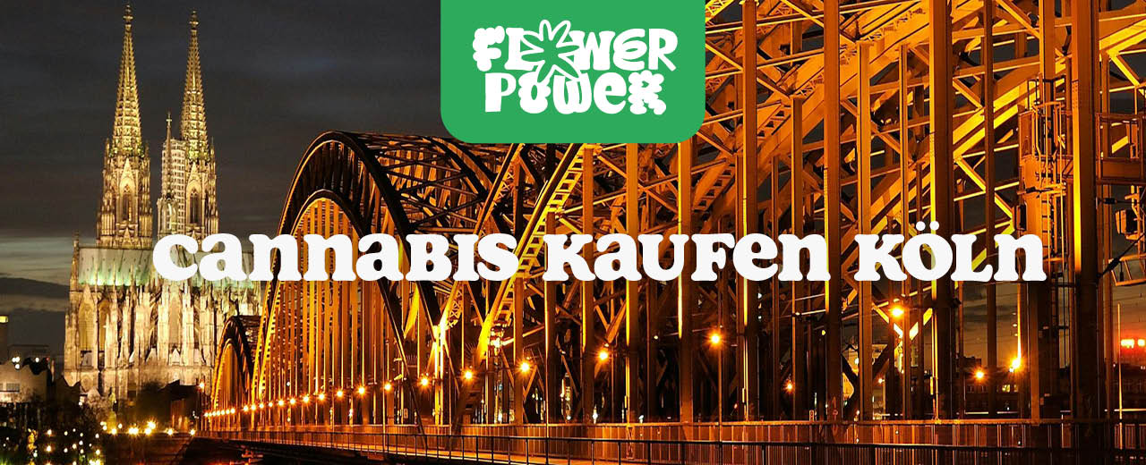 Cannabis kaufen in Köln – So kommst du legal an Gras - Flower Power 