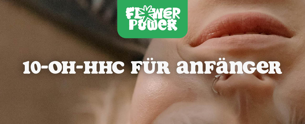 10-OH-HHC für Anfänger