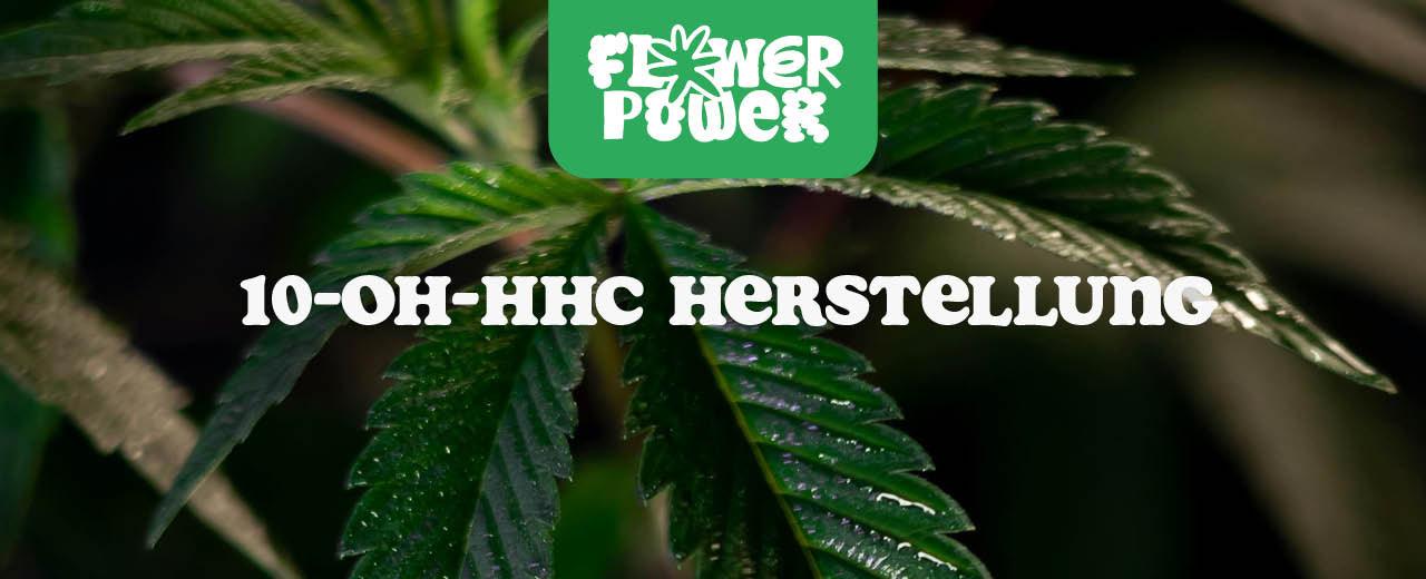 10-OH-HHC Herstellung: Wie wird es produziert? - Flower Power 