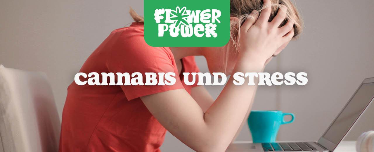 Cannabis und Stress: Wirkung, Dosierung & Tipps für den Alltag - Flower Power 