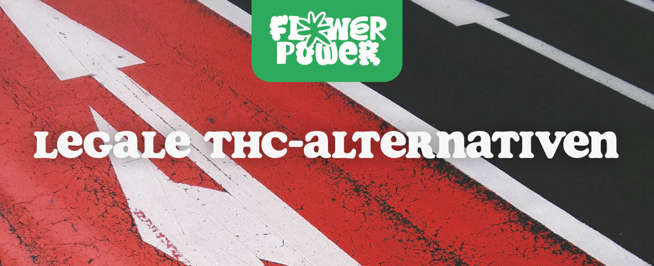 THC kaufen