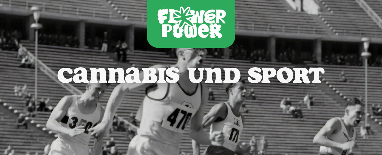 Cannabis