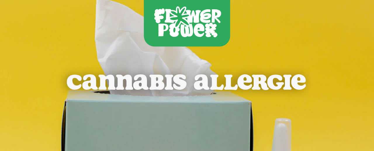Cannabis