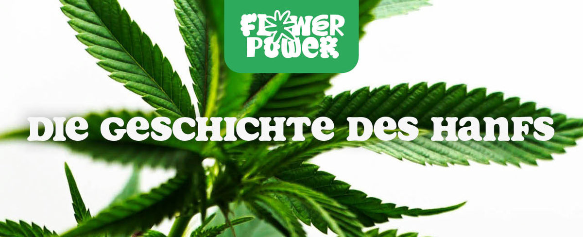 Hanf