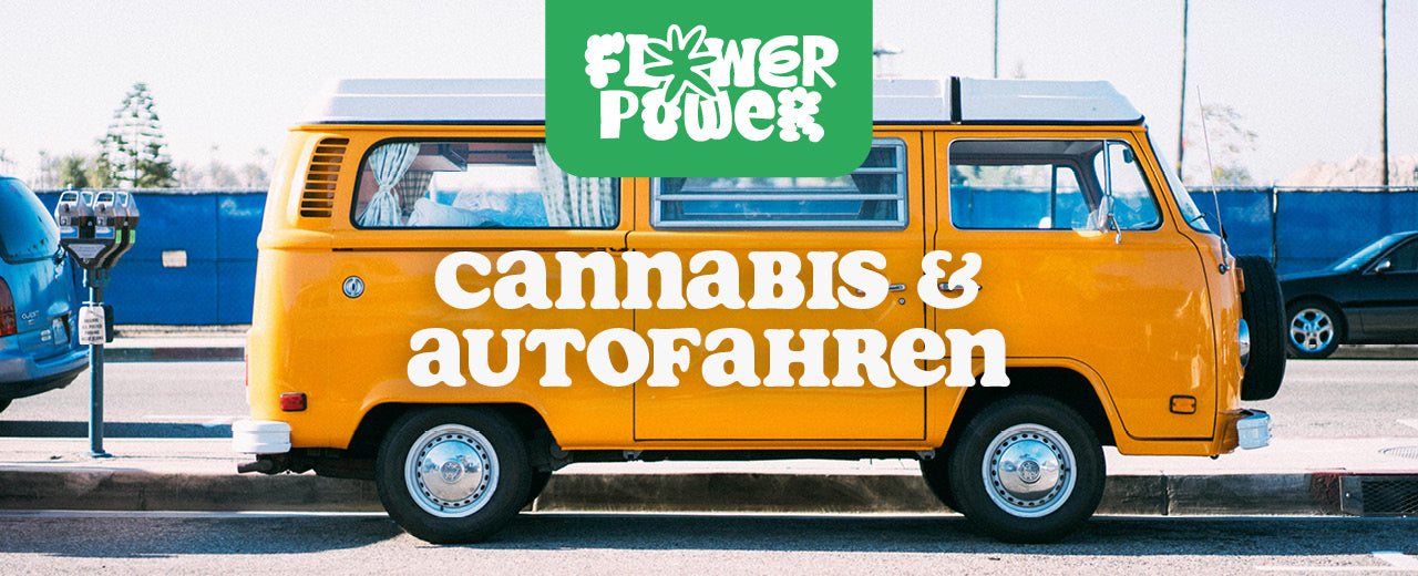 cannabis und autofahren