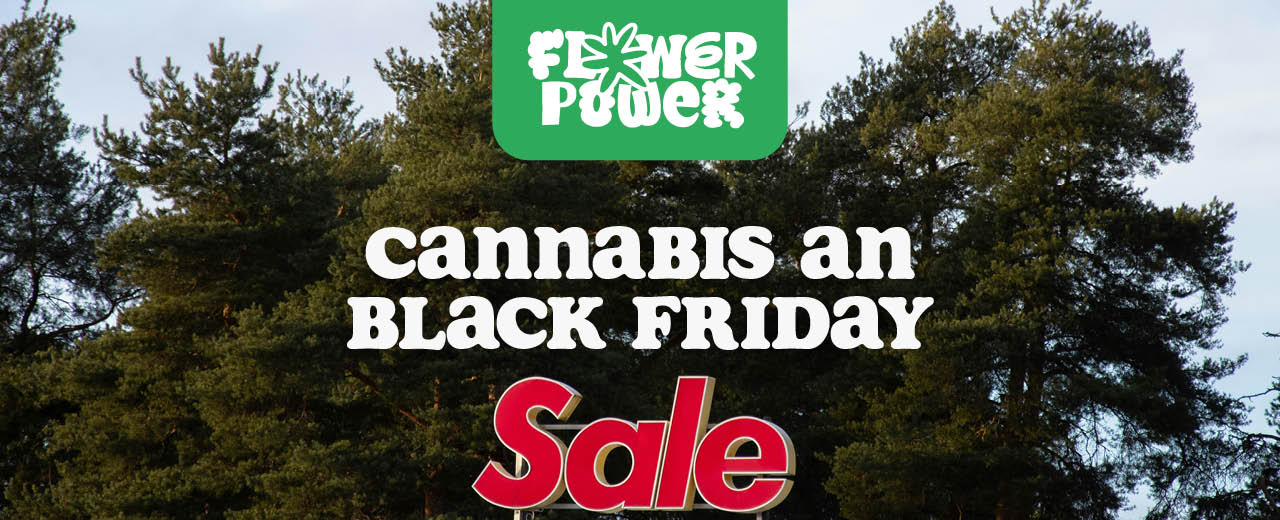 Cannabis an Black Friday