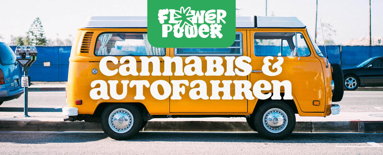 cannabis und autofahren