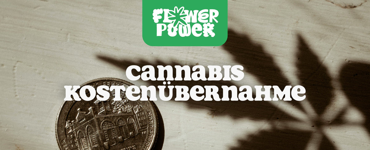 Cannabis Kostenübernahme