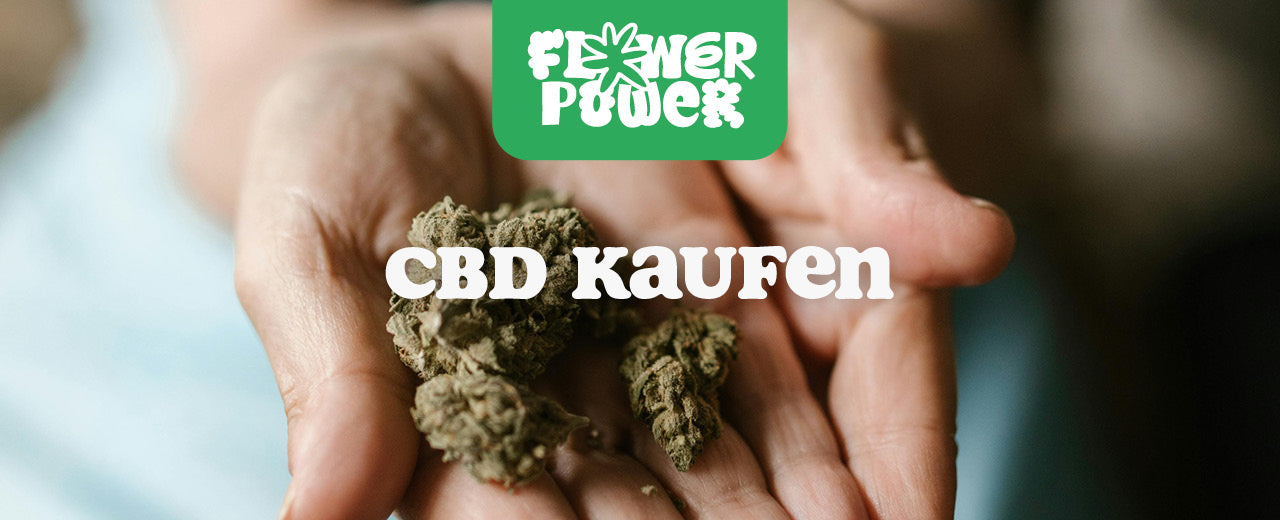 CBD kaufen