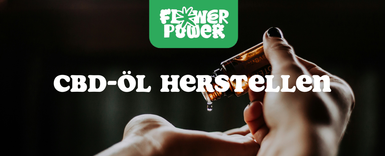 Illustration von Hanfsamen und Ölpressung – Wie man CBD-Öl herstellt Schritt für Schritt erklärt.