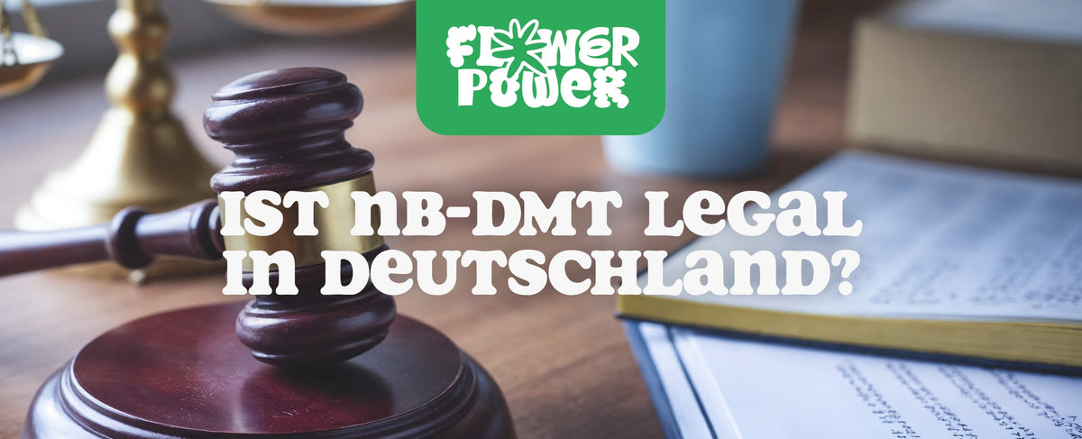 Ist NB-DMT  legal in Deutschland?