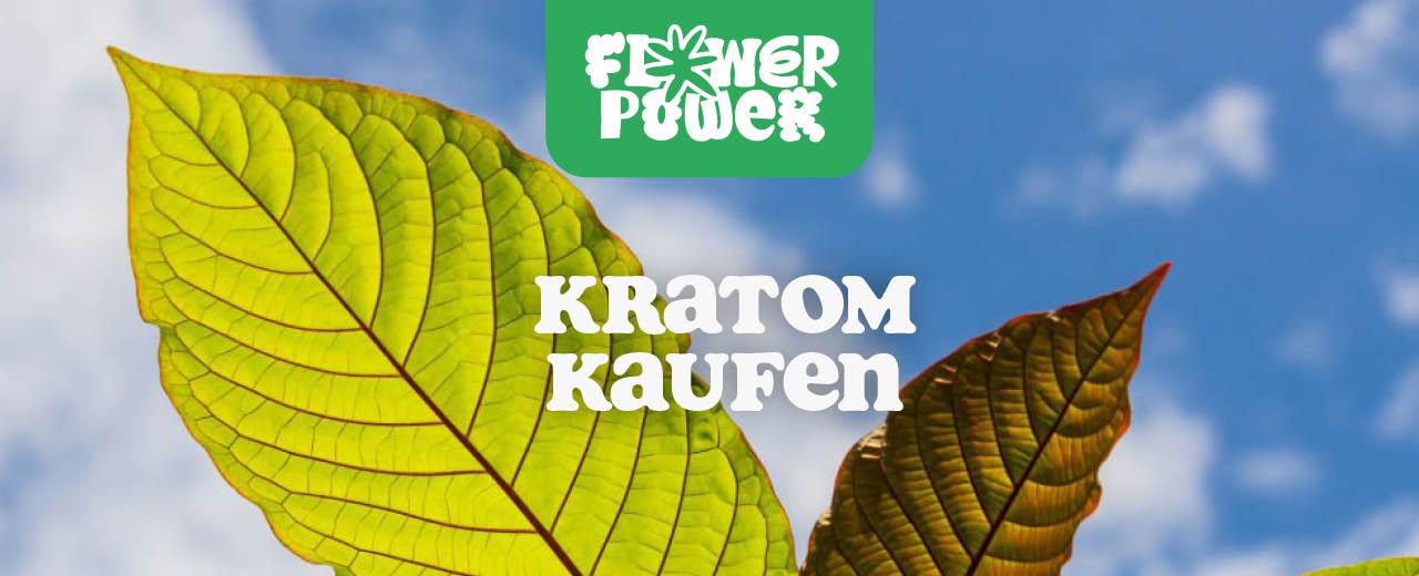 Kratom kaufen: Alles, was du wissen musst - Flower Power 