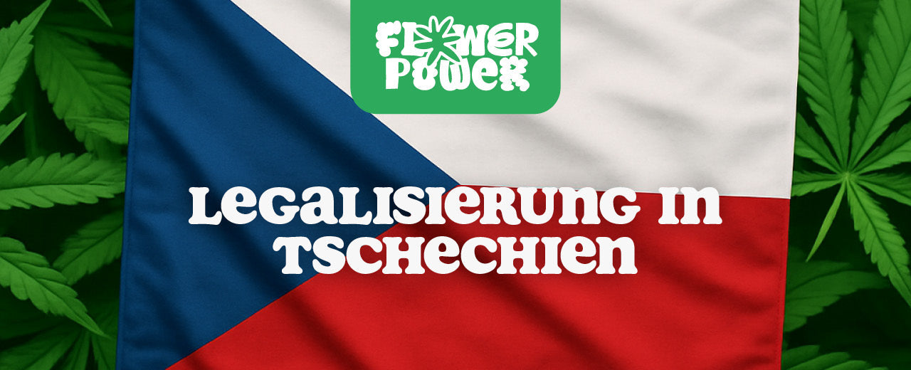 Tschechische Flagge 