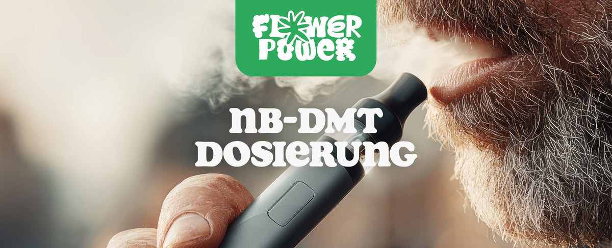 NB DMT Dosierung