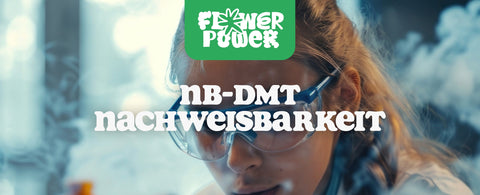 NB DMT Nachweisbarkeit: Wie lange bleibt es nachweisbar? | Flower Power