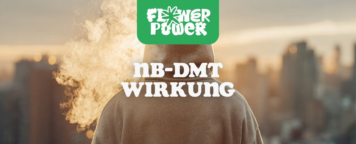 NB DMT Wirkung