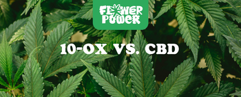 10-OX vs. CBD – Vergleich moderner Cannabinoide