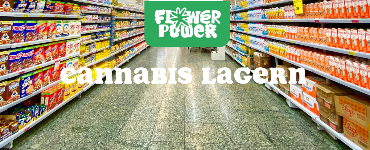 Cannabis im Karton trocknen – Anleitung und Aufbau der Trocknungsbox