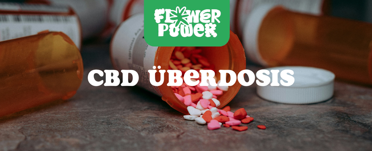 Nahaufnahme eines CBD-Öl-Tropfers mit zu großer Menge – CBD Überdosis und mögliche Nebenwirkungen erklärt.
