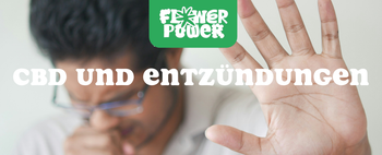 Person reibt CBD-Creme auf schmerzendes Knie – CBD und Entzündungen für lokale Schmerzlinderung und Regeneration.