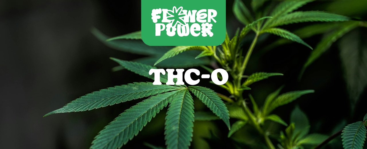 THC-O Öl in Pipette vor Cannabisblättern – Symbol für synthetische Cannabinoide