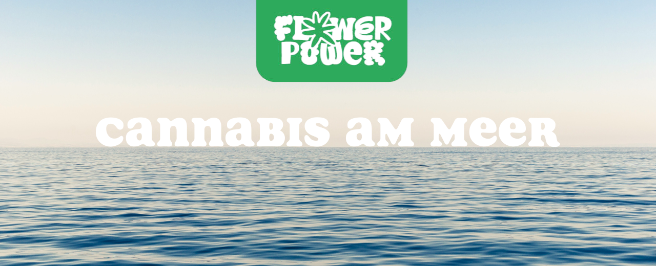 Person sitzt entspannt am Strand mit Joint – Cannabis am Meer als Symbol für Freiheit und Entspannung.