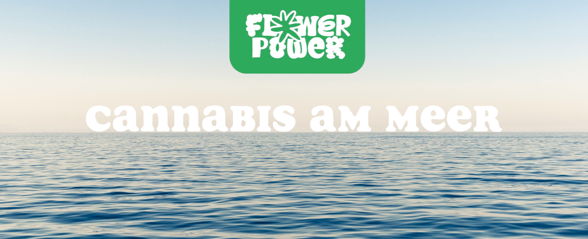 Person sitzt entspannt am Strand mit Joint – Cannabis am Meer als Symbol für Freiheit und Entspannung.