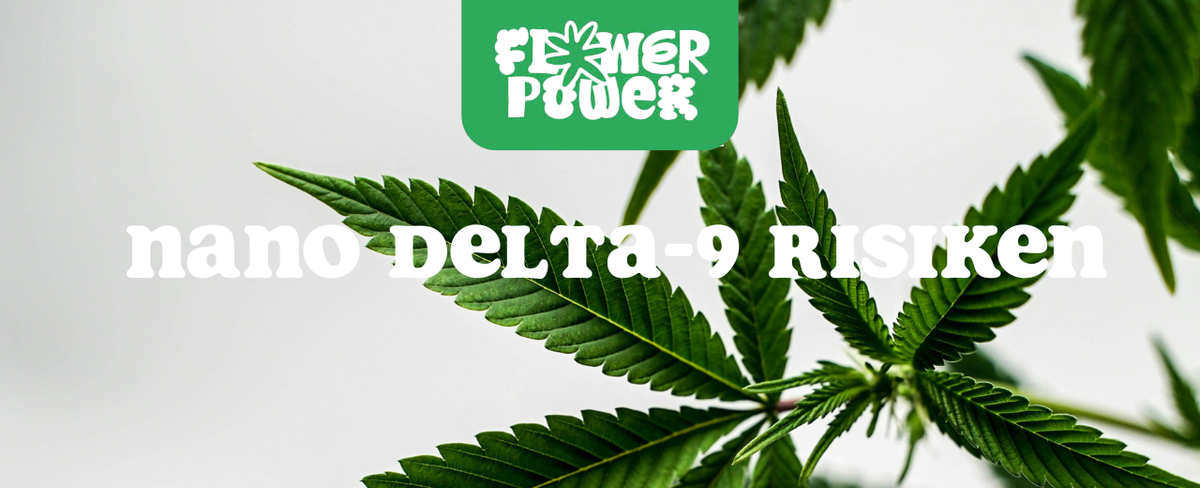 Nano Delta-9 Autofahren – Was sagt das Gesetz & wie sicher ist es?